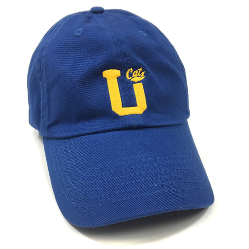 UPTOP MSU DAD HAT