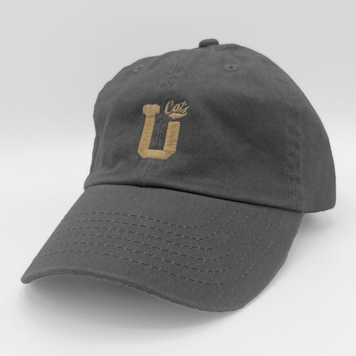 UPTOP MSU DAD HAT