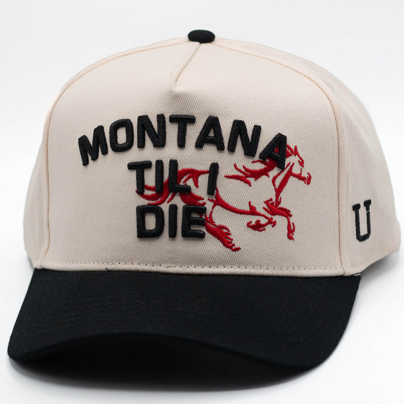 UPTOP LAST RIDE 2-TONE  HAT