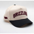 UPTOP / GRIZZLIES 2-TONE SNAPBACK HAT