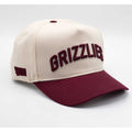 UPTOP / GRIZZLIES 2-TONE SNAPBACK HAT