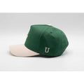 UPTOP IRISH 2-TONE SNAPBACK HAT