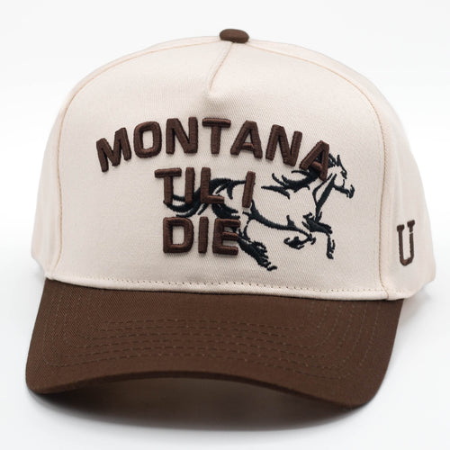 UPTOP LAST RIDE 2-TONE  HAT
