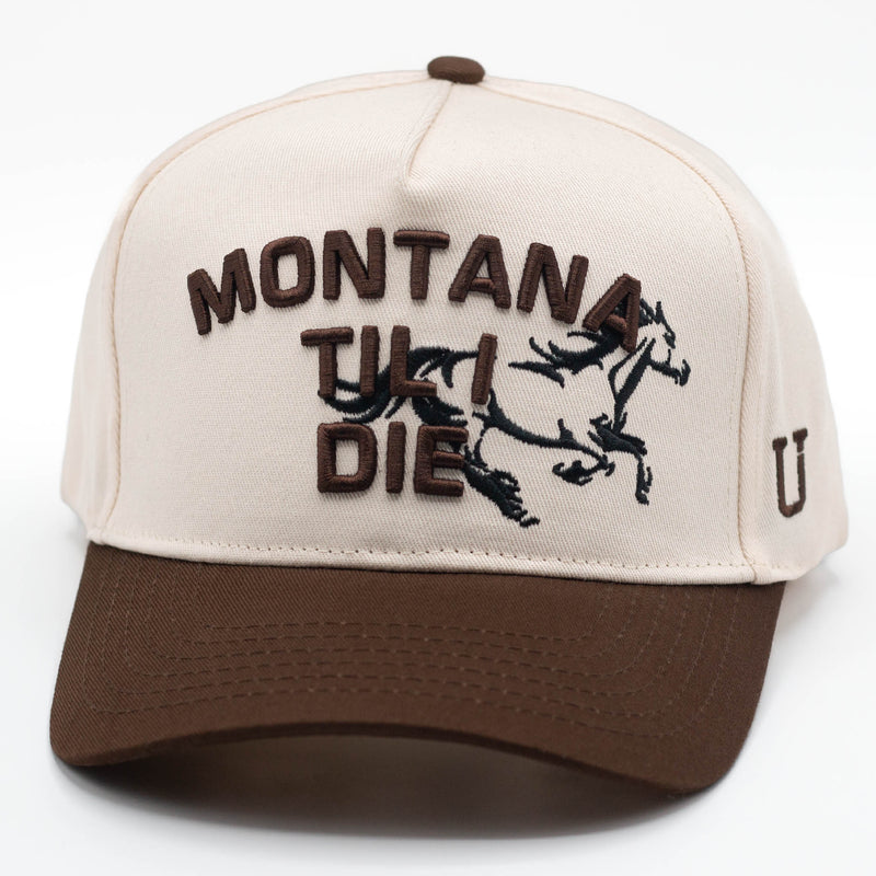 UPTOP LAST RIDE 2-TONE  HAT