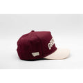 UPTOP / GRIZZLIES 2-TONE SNAPBACK HAT