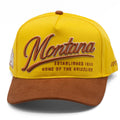 UPTOP / VINTAGE GRIZ HOME TURF HAT