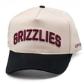 UPTOP / GRIZZLIES 2-TONE SNAPBACK HAT