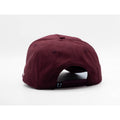 UPTOP / MONTANA GRIZZLIES CHAIN SUEDE HAT