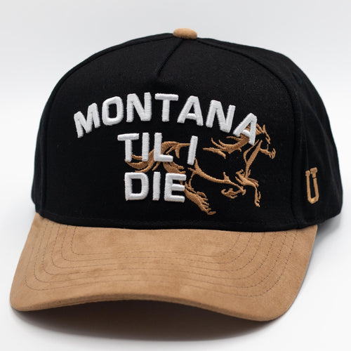 UPTOP LAST RIDE 2-TONE MID PROFILE HAT
