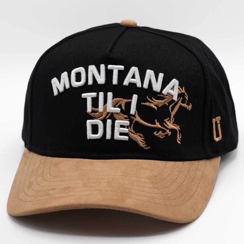 UPTOP LAST RIDE 2-TONE MID PROFILE HAT