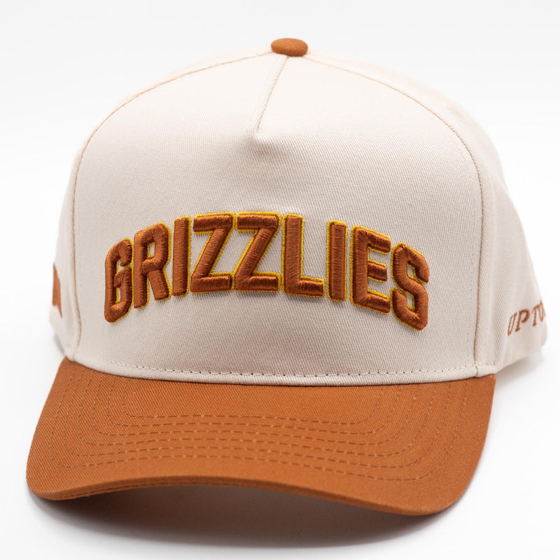 UPTOP / VINTAGE GRIZZLIES 2-TONE SNAPBACK HAT