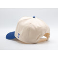 UPTOP USA HERITAGE 2-TONE HAT