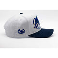 UPTOP MSU HOME TURF SUEDE SNAPBACK HAT