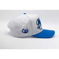 UPTOP MSU HOME TURF SUEDE SNAPBACK HAT