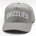 UPTOP / GRIZZLIES SUEDE SNAPBACK HAT