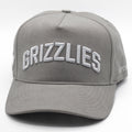 UPTOP / GRIZZLIES SUEDE SNAPBACK HAT