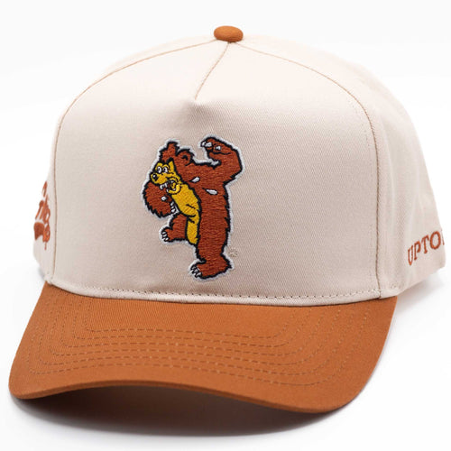 UPTOP / VINTAGE GRIZZLY 2-TONE HAT